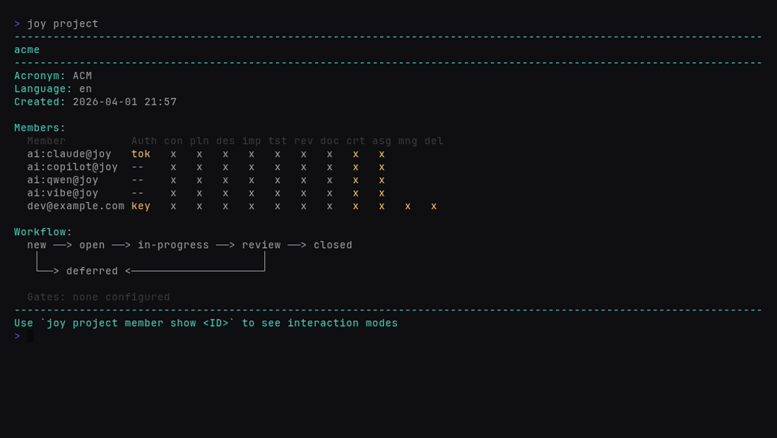 joy project output showing members with capabilities, AI tools, and workflow gates